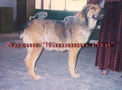 Гонур